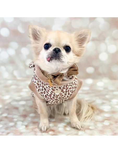 TOPOMIO FACE PANTHER BEIGE PULL TOPOMIO FACE PANTHER BEIGE PULL