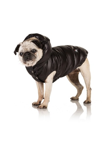 KAPSULA BLACK BIG DOG KAPSULA BLACK BIG DOG