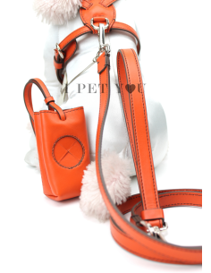 ORANGE POOPY BAG 2