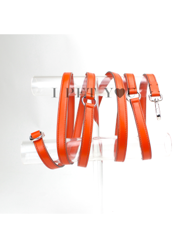 ORANGE LIBERO LEASH