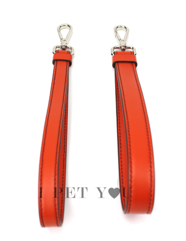 EGO LEASH ORANGE