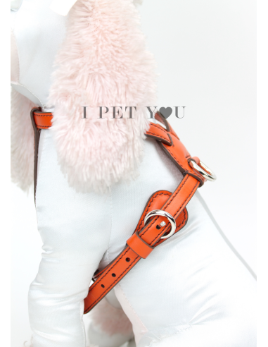ORANGE NUVOLA HARNESS