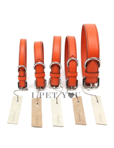 ORANGE COLLAR
