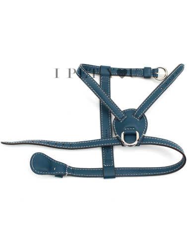 PEACOCK NUVOLA HARNESS