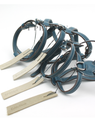 PEACOCK NUVOLA HARNESS