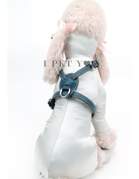 PEACOCK NUVOLA HARNESS