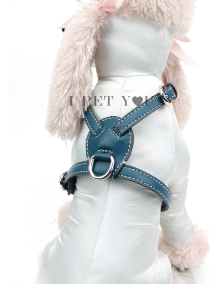 PEACOCK NUVOLA HARNESS