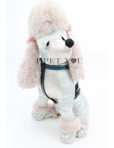 PEACOCK NUVOLA HARNESS