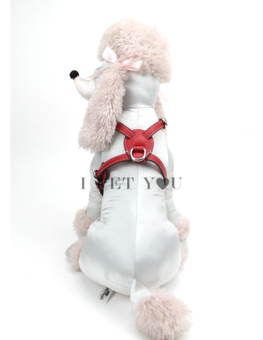 POPPY NUVOLA HARNESS