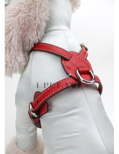 POPPY NUVOLA HARNESS