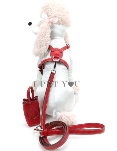 POPPY NUVOLA HARNESS