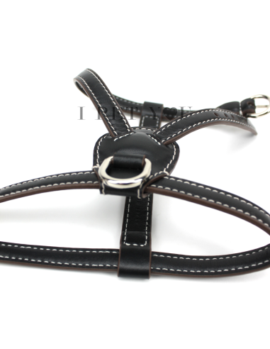 ONYX NUVOLA HARNESS ONYX NUVOLA HARNESS