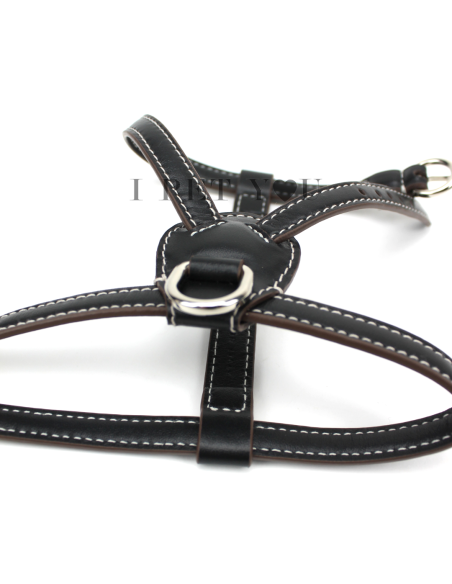 ONYX NUVOLA HARNESS
