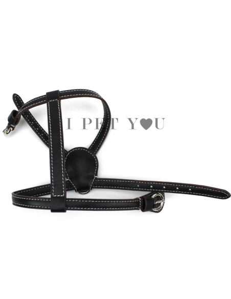 ONYX NUVOLA HARNESS
