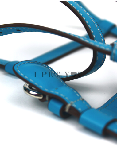 TURQUOISE NUVOLA HARNESS