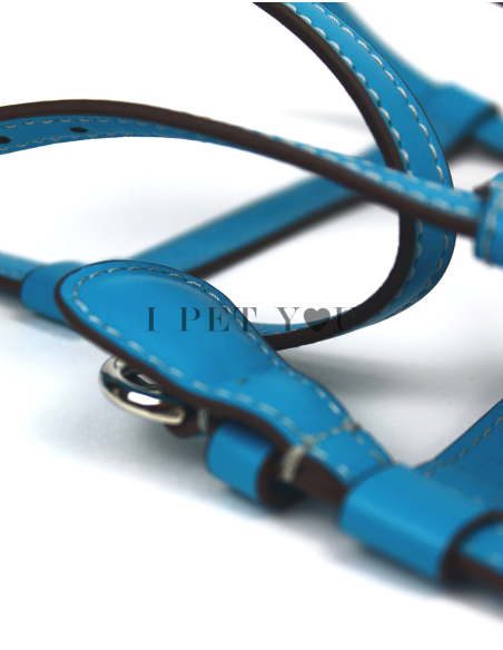 TURQUOISE NUVOLA HARNESS