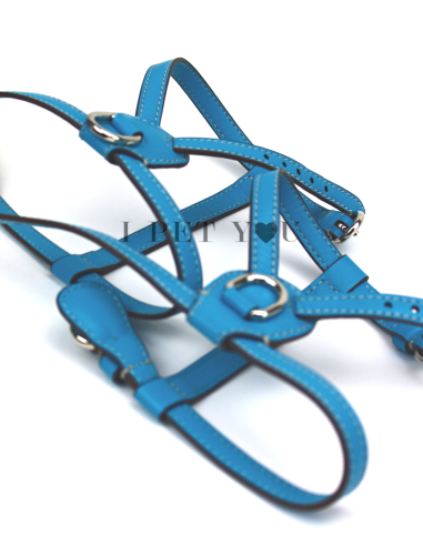 TURQUOISE NUVOLA HARNESS