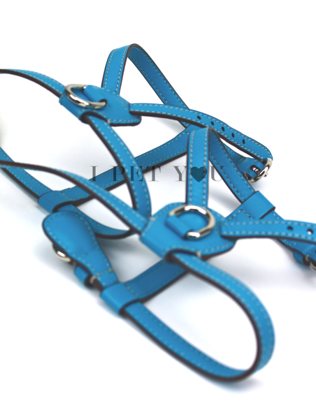 TURQUOISE NUVOLA HARNESS