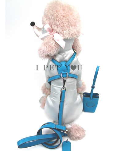 TURQUOISE NUVOLA HARNESS