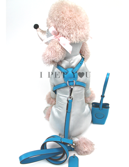 TURQUOISE NUVOLA HARNESS