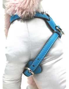 TURQUOISE NUVOLA HARNESS 2