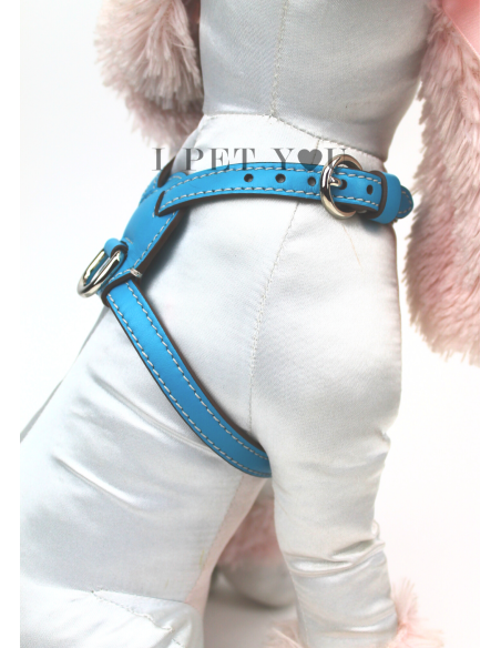 TURQUOISE NUVOLA HARNESS