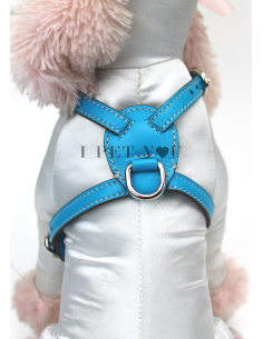 TURQUOISE NUVOLA HARNESS