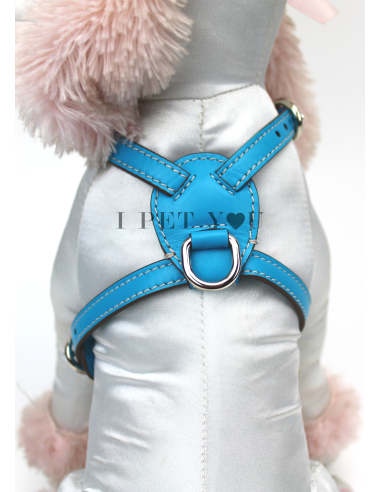 TURQUOISE NUVOLA HARNESS