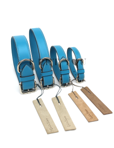TURQUOISE COLLAR