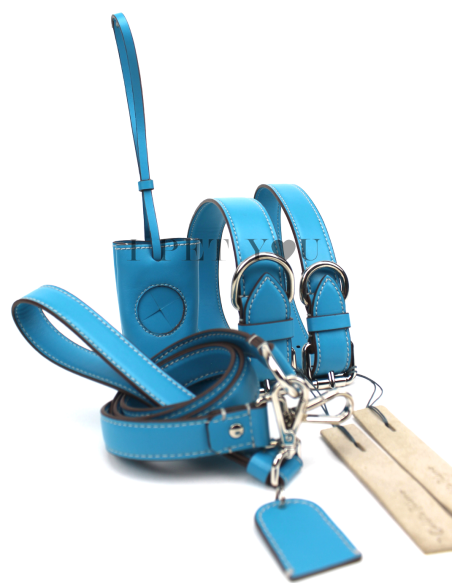 TURQUOISE COLLAR