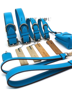 TURQUOISE COLLAR 2