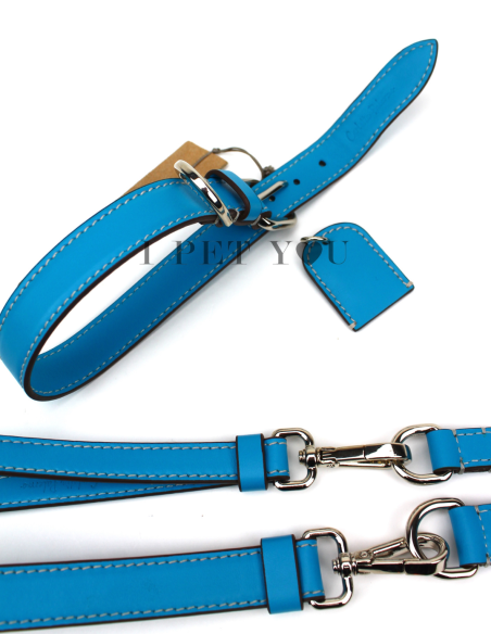TURQUOISE COLLAR