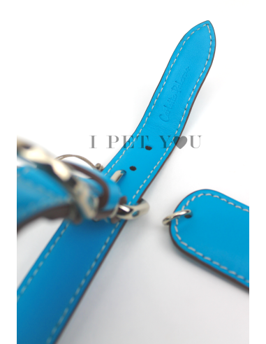 TURQUOISE COLLAR TURQUOISE COLLAR