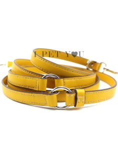 BROOM LIBERO LEASH 2