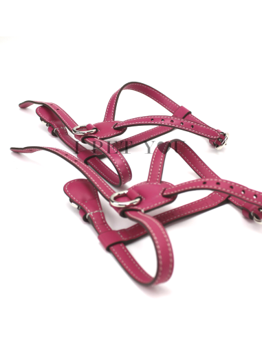 PEONY NUVOLA HARNESS PEONY NUVOLA HARNESS
