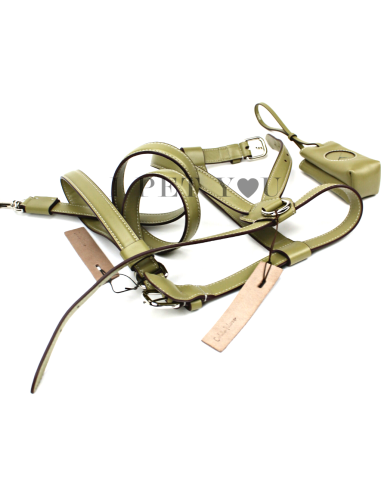 GUINZAGLIO STRONG OLIVA