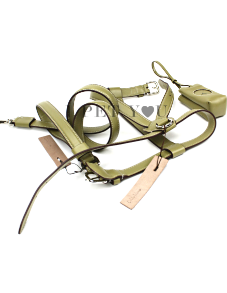 OLIVE STRONG LEASH