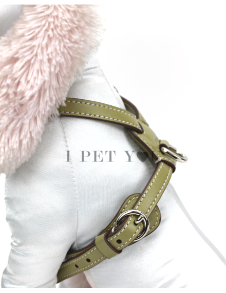 OLIVE NUVOLA HARNESS