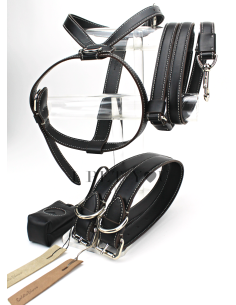 ONYX STRONG LEASH 2