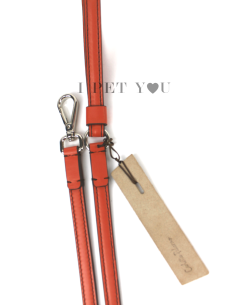 MINI LEASH ORANGE 2