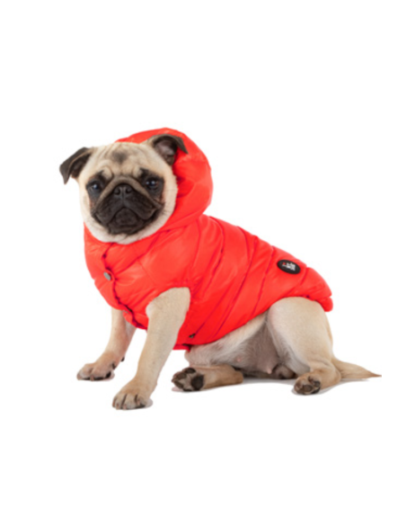 KAPSULA RED PASSION FRENCH BULLDOG KAPSULA RED PASSION FRENCH BULLDOG