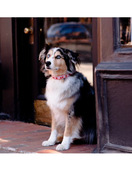 CHERRY COLLAR