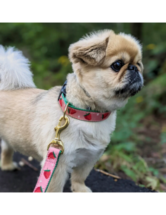 STRAWBERRY FIELDS COLLAR 2