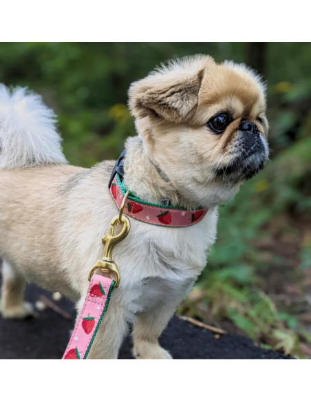 STRAWBERRY FIELDS COLLAR