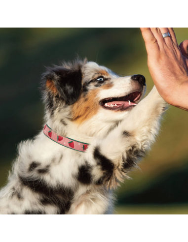 COLLARE STRAWBERRY FIELDS