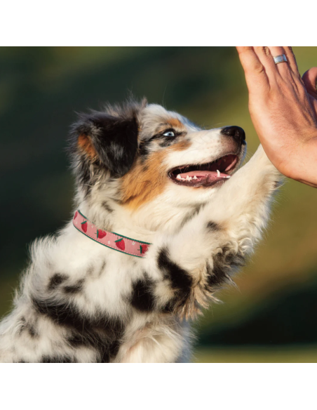 STRAWBERRY FIELDS COLLAR