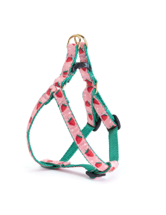 STRAWBERRY FIELDS HARNESS