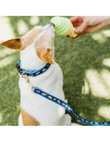 ICE CREAM COLLAR