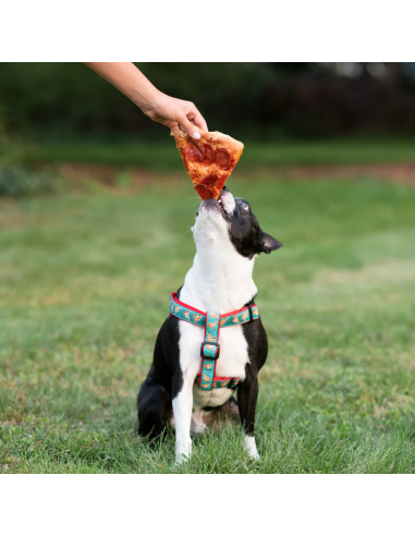PIZZA LOVER HARNESS