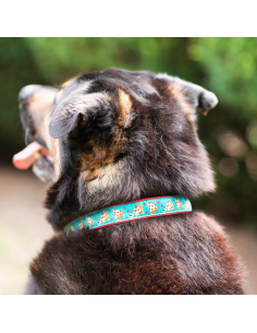 PIZZA LOVER COLLAR 2